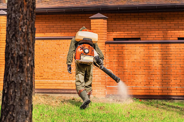 Trusted Cockroach Control service in South El Monte, CA - Nex Pest Control